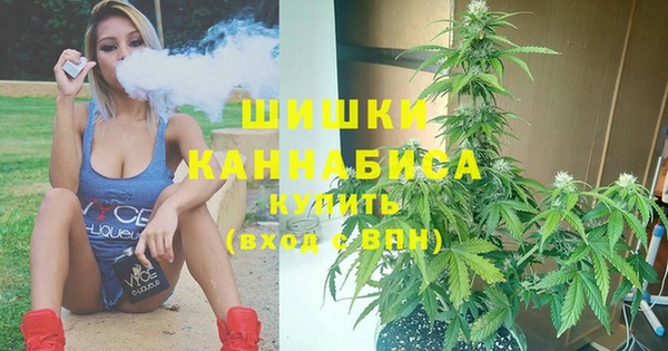 мяу мяу мука Гусь-Хрустальный