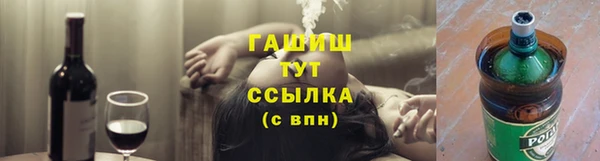 таблы Гусев