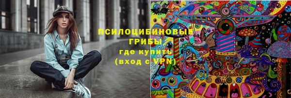 тгк Гусиноозёрск